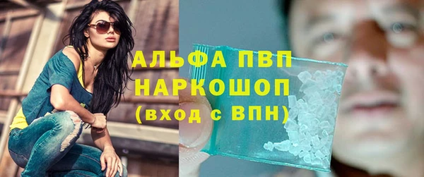 гидра Новокубанск