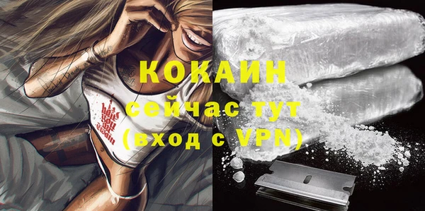 PSILOCYBIN Новозыбков