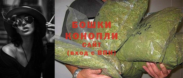 PSILOCYBIN Новозыбков