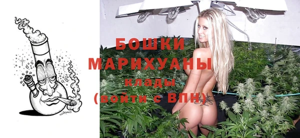 PSILOCYBIN Новозыбков