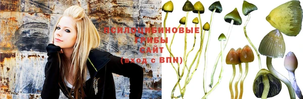 PSILOCYBIN Новозыбков