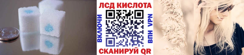 даркнет сайт  Ряжск  Лсд 25 экстази кислота 